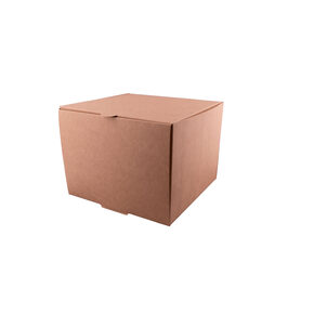 Nunc congue dui nec...