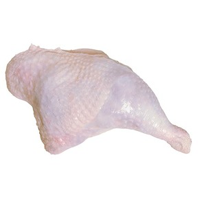 Nunc congue dui nec...