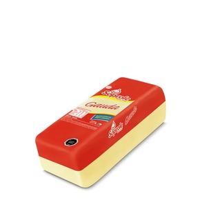 Nunc congue dui nec...