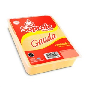 Nunc congue dui nec...