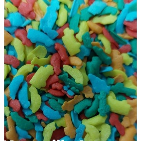 Nunc congue dui nec...