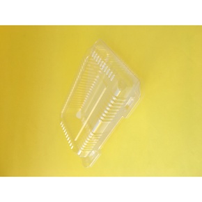 Nunc congue dui nec...