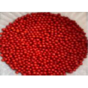 Nunc congue dui nec...