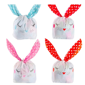 Nunc congue dui nec...