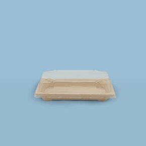 Nunc congue dui nec...