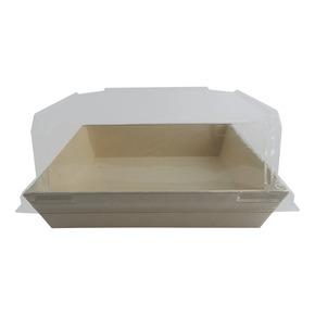 Nunc congue dui nec...