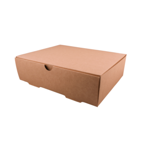 Nunc congue dui nec...