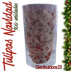 Nunc congue dui nec...