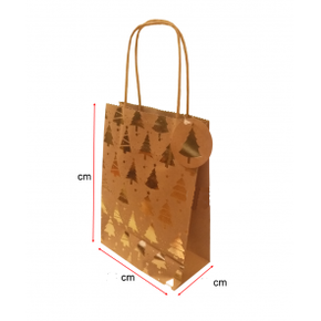 Nunc congue dui nec...